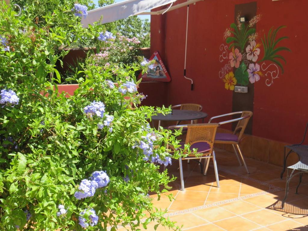 Higos Chumbos, Casa Rural Compartido Chiclana de la Frontera Exteriér fotografie
